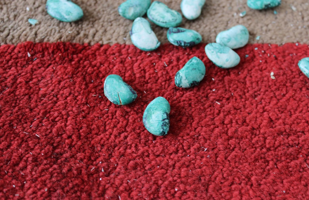 Magic Beans on a Black Carpet (detail)
